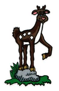 Daniel Deer Picture