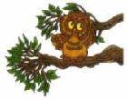 Oscar the Owl - fun poems - cartoon pictures - A Forest of Poems for Children