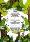 Thomas - A Forest of Poems for Children - funny poems - cartoon pictures